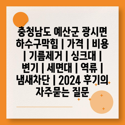 충청남도 예산군 광시면 하수구막힘 | 가격 | 비용 | 기름제거 | 싱크대 | 변기 | 세면대 | 역류 | 냄새차단 | 2024 후기