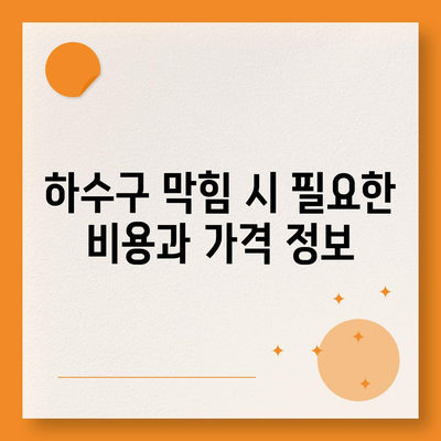 제주도 제주시 한림읍 하수구막힘 | 가격 | 비용 | 기름제거 | 싱크대 | 변기 | 세면대 | 역류 | 냄새차단 | 2024 후기