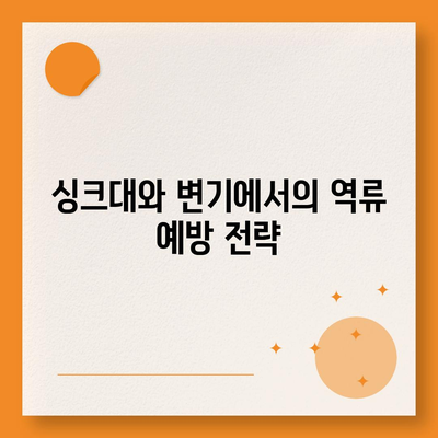 대전시 중구 유천2동 하수구막힘 | 가격 | 비용 | 기름제거 | 싱크대 | 변기 | 세면대 | 역류 | 냄새차단 | 2024 후기