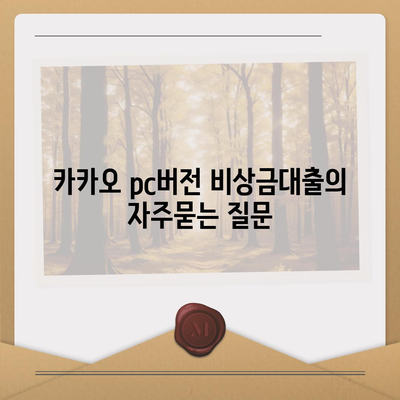 카카오 pc버전 비상금대출