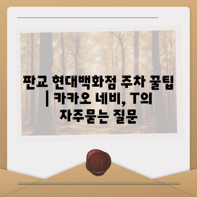 판교 현대백화점 주차 꿀팁 | 카카오 네비, T