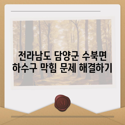 전라남도 담양군 수북면 하수구막힘 | 가격 | 비용 | 기름제거 | 싱크대 | 변기 | 세면대 | 역류 | 냄새차단 | 2024 후기