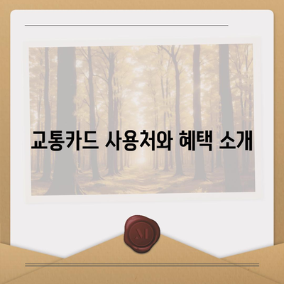 교통카드 가입도 카카오페이로! K패스 발급 방법 가이드