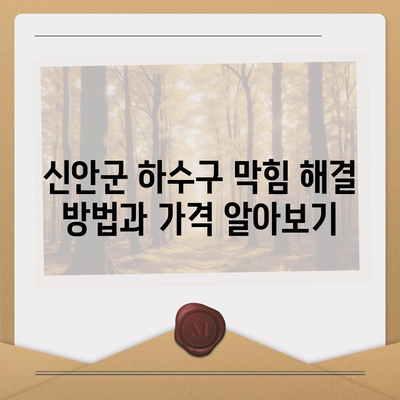 전라남도 신안군 임자면 하수구막힘 | 가격 | 비용 | 기름제거 | 싱크대 | 변기 | 세면대 | 역류 | 냄새차단 | 2024 후기