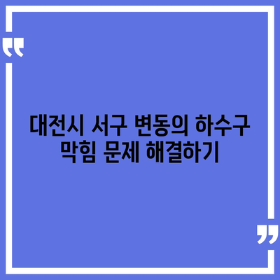 대전시 서구 변동 하수구막힘 | 가격 | 비용 | 기름제거 | 싱크대 | 변기 | 세면대 | 역류 | 냄새차단 | 2024 후기