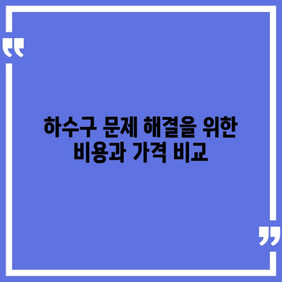 대전시 대덕구 법1동 하수구막힘 | 가격 | 비용 | 기름제거 | 싱크대 | 변기 | 세면대 | 역류 | 냄새차단 | 2024 후기