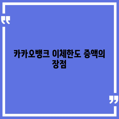 카카오뱅크 pc버전 이체한도 증액