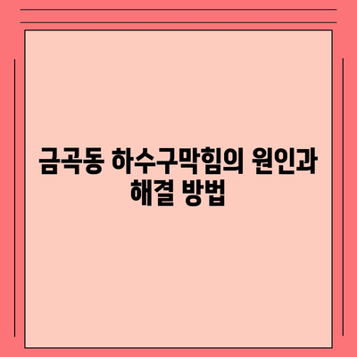 경기도 남양주시 금곡동 하수구막힘 | 가격 | 비용 | 기름제거 | 싱크대 | 변기 | 세면대 | 역류 | 냄새차단 | 2024 후기