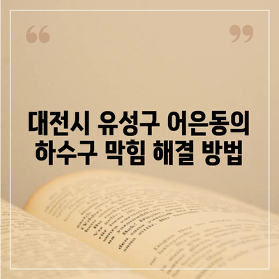 대전시 유성구 어은동 하수구막힘 | 가격 | 비용 | 기름제거 | 싱크대 | 변기 | 세면대 | 역류 | 냄새차단 | 2024 후기