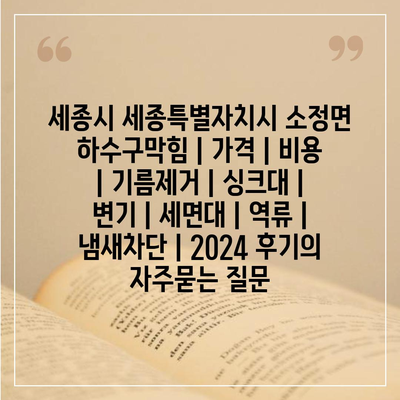 세종시 세종특별자치시 소정면 하수구막힘 | 가격 | 비용 | 기름제거 | 싱크대 | 변기 | 세면대 | 역류 | 냄새차단 | 2024 후기