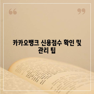 카카오뱅크 pc버전 비상금대출 신용점수