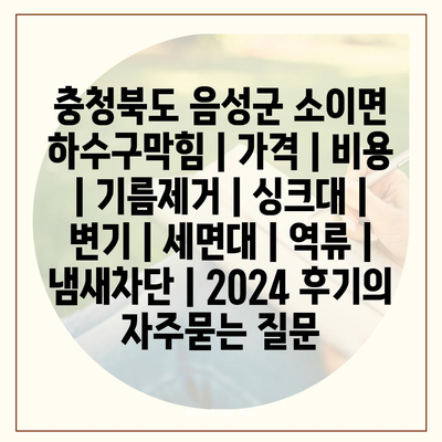 충청북도 음성군 소이면 하수구막힘 | 가격 | 비용 | 기름제거 | 싱크대 | 변기 | 세면대 | 역류 | 냄새차단 | 2024 후기