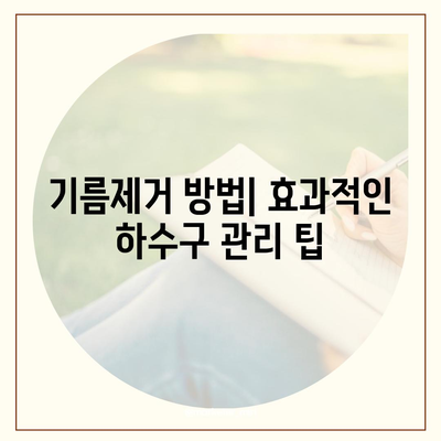 경상남도 진주시 중앙동 하수구막힘 | 가격 | 비용 | 기름제거 | 싱크대 | 변기 | 세면대 | 역류 | 냄새차단 | 2024 후기