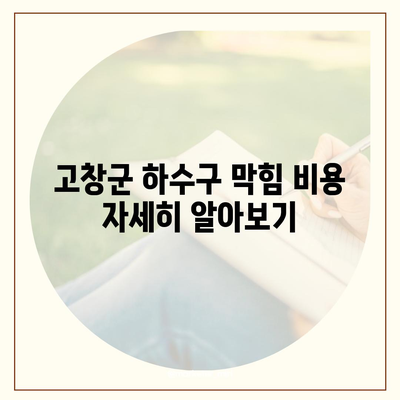 전라북도 고창군 흥덕면 하수구막힘 | 가격 | 비용 | 기름제거 | 싱크대 | 변기 | 세면대 | 역류 | 냄새차단 | 2024 후기