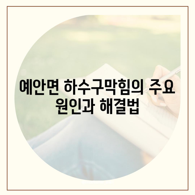 경상북도 안동시 예안면 하수구막힘 | 가격 | 비용 | 기름제거 | 싱크대 | 변기 | 세면대 | 역류 | 냄새차단 | 2024 후기