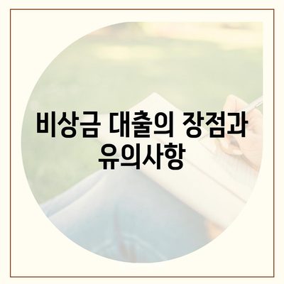 카카오뱅크 비상금 대출 신청법 전수