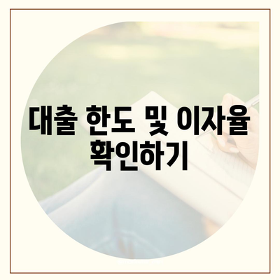 카카오뱅크 비상금 대출 신청 방법