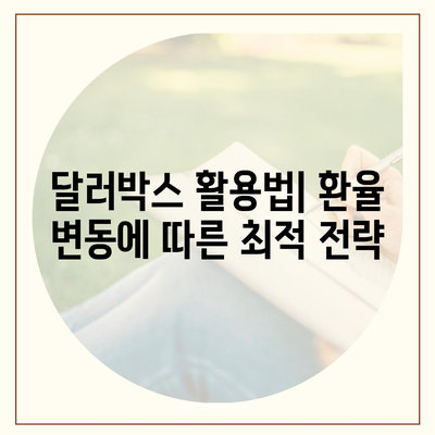 카카오뱅크 달러박스 환테크 가이드