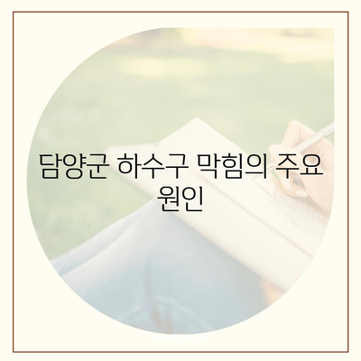 전라남도 담양군 수북면 하수구막힘 | 가격 | 비용 | 기름제거 | 싱크대 | 변기 | 세면대 | 역류 | 냄새차단 | 2024 후기