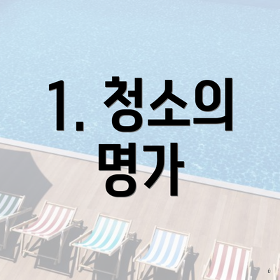 1. 청소의 명가