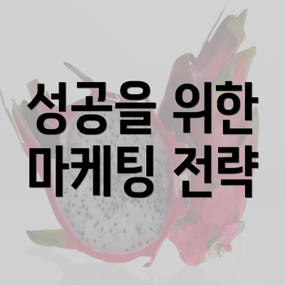 성공을 위한 마케팅 전략