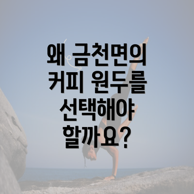 왜 금천면의 커피 원두를 선택해야 할까요?