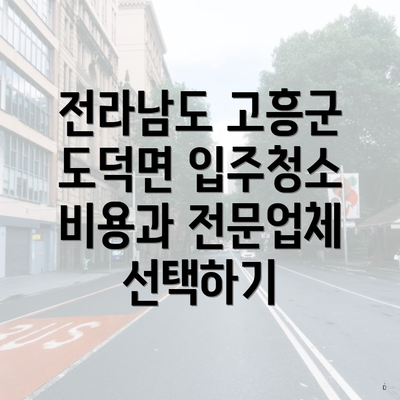 전라남도 고흥군 도덕면 입주청소 비용과 전문업체 선택하기