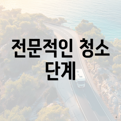 전문적인 청소 단계