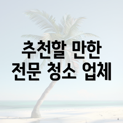 추천할 만한 전문 청소 업체