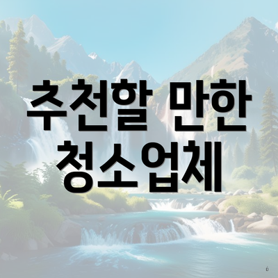 추천할 만한 청소업체