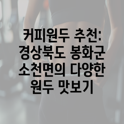 커피원두 추천: 경상북도 봉화군 소천면의 다양한 원두 맛보기