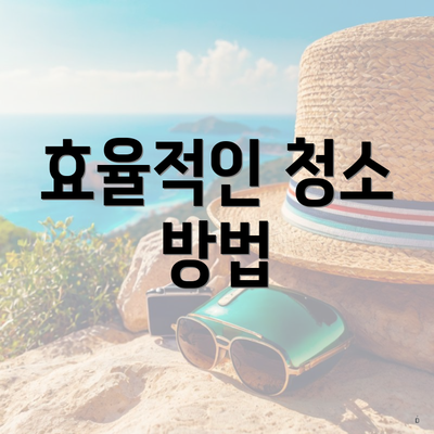 효율적인 청소 방법