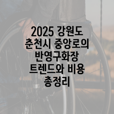 2025 강원도 춘천시 중앙로의 반영구화장 트렌드와 비용 총정리