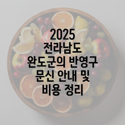 2025 전라남도 완도군의 반영구 문신 안내 및 비용 정리