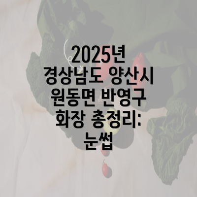 2025년 경상남도 양산시 원동면 반영구 화장 총정리: 눈썹