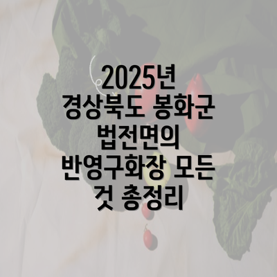 2025년 경상북도 봉화군 법전면의 반영구화장 모든 것 총정리