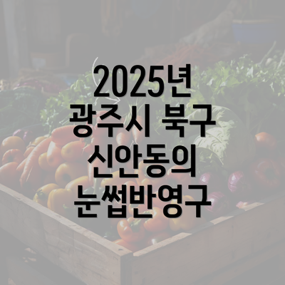 2025년 광주시 북구 신안동의 눈썹반영구