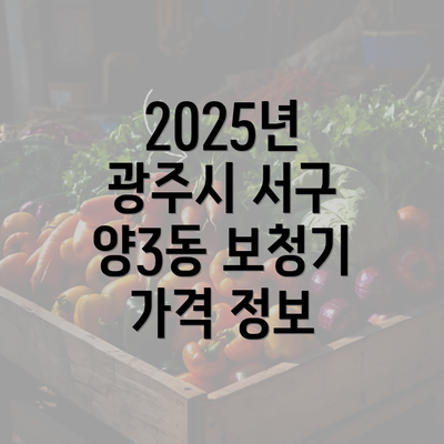 2025년 광주시 서구 양3동 보청기 가격과 활용법