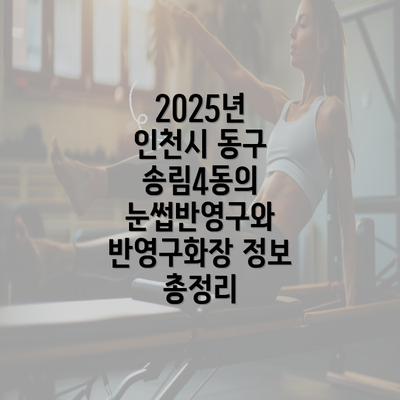 2025년 인천시 동구 송림4동의 눈썹반영구와 반영구화장 정보 총정리