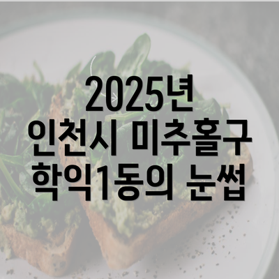 2025년 인천시 미추홀구 학익1동의 눈썹