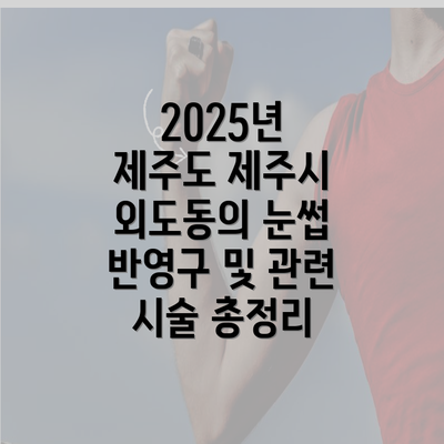 2025년 제주도 제주시 외도동의 눈썹 반영구 및 관련 시술 총정리