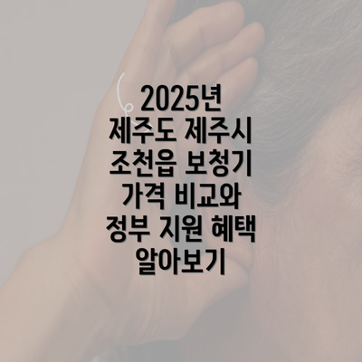 2025년 제주도 제주시 조천읍 보청기 가격 비교와 정부 지원 혜택 알아보기