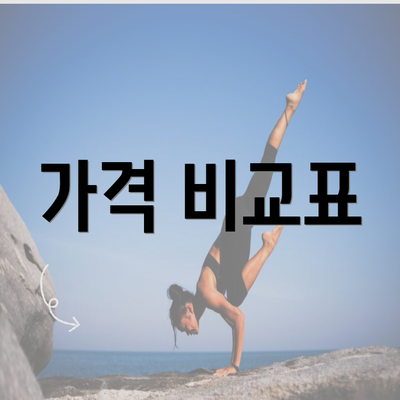 가격 비교표