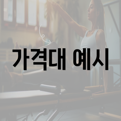 가격대 예시