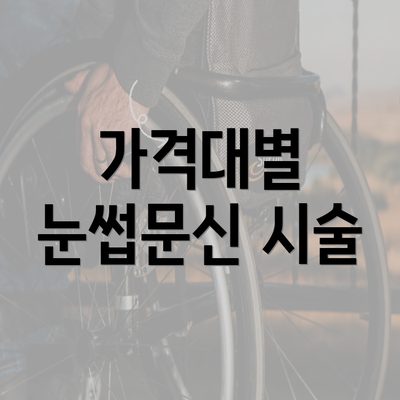 가격대별 눈썹문신 시술