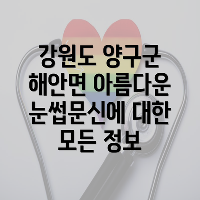 강원도 양구군 해안면 아름다운 눈썹문신에 대한 모든 정보