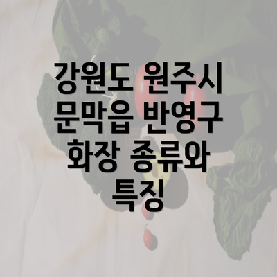 강원도 원주시 문막읍 반영구 화장 종류와 특징