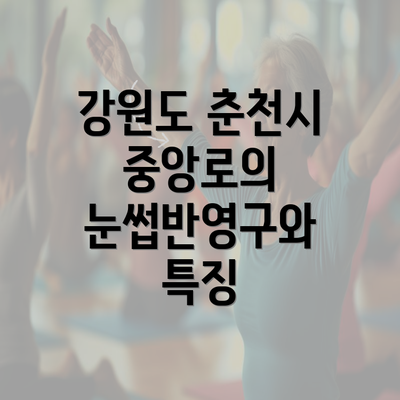 강원도 춘천시 중앙로의 눈썹반영구와 특징