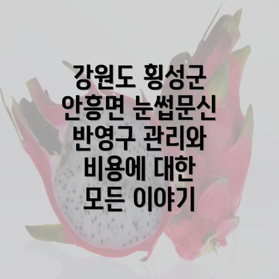 강원도 횡성군 안흥면 눈썹문신 반영구 관리와 비용에 대한 모든 이야기