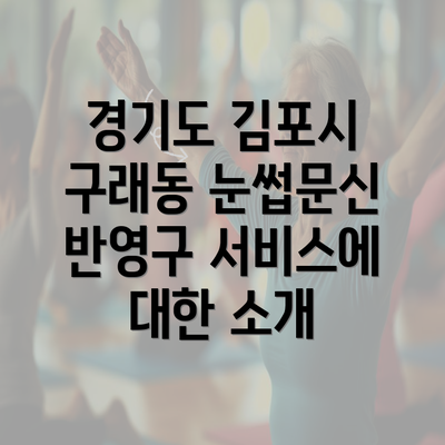 경기도 김포시 구래동 눈썹문신 반영구 서비스에 대한 소개